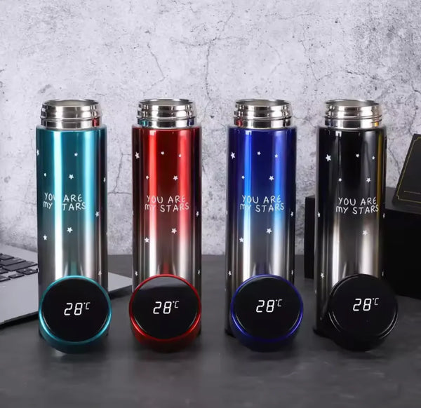 Stainless Steel Digital Temperature Bottle